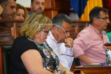 Pleno extraordinario en el Ayuntamiento de Telde (Foto TA)